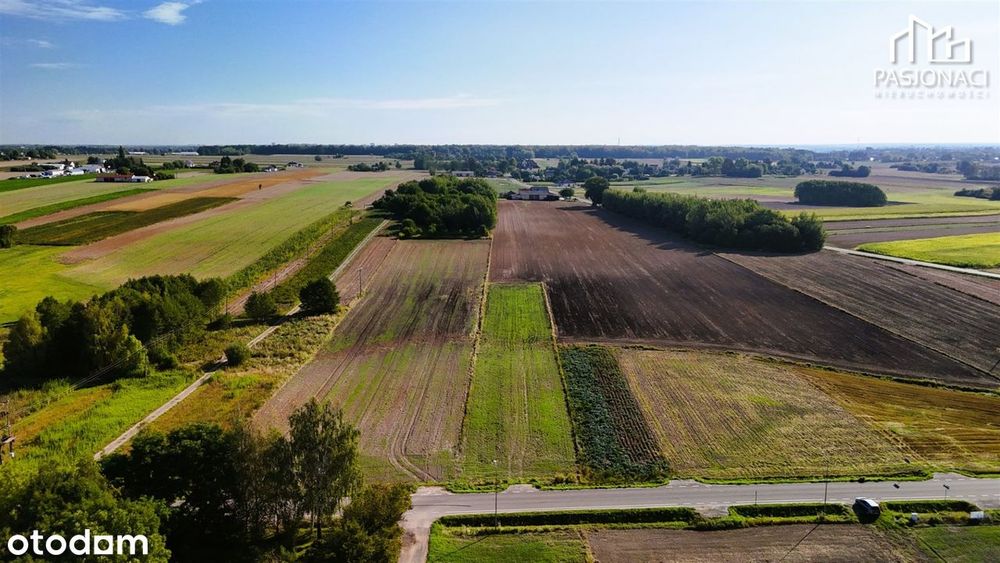 Duża działka budowlana z WZ Radawiec Duży - Widok 5