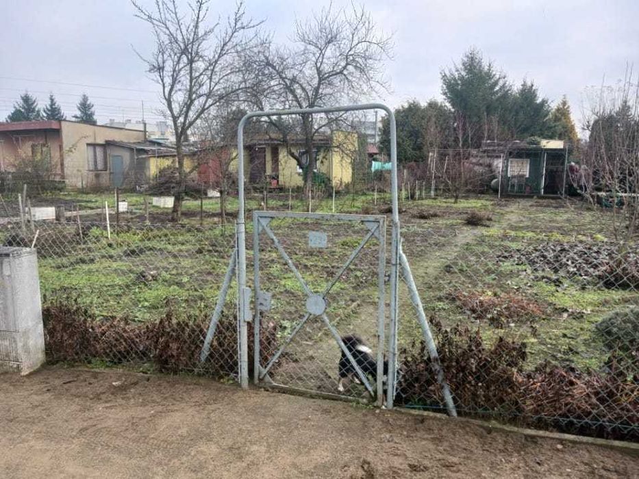 Działka ROD Leszno, Leszczynko