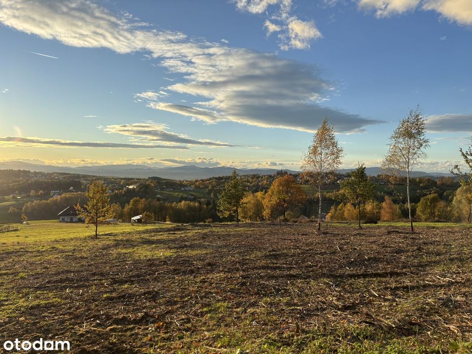 Działka budowlana - Widokowa - Mszalnica - View 3