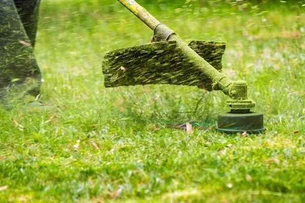 Покос, спилювання, обробка, обрізка гілок