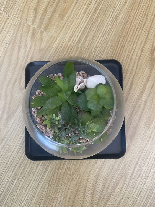 Vaso decorativo agave