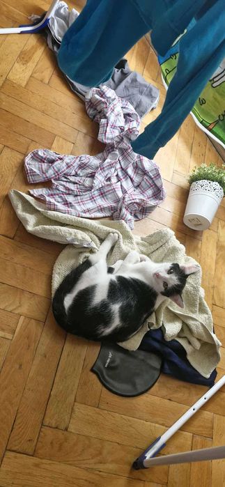 W domu tymczasowym dostałem ksywę Księgowy