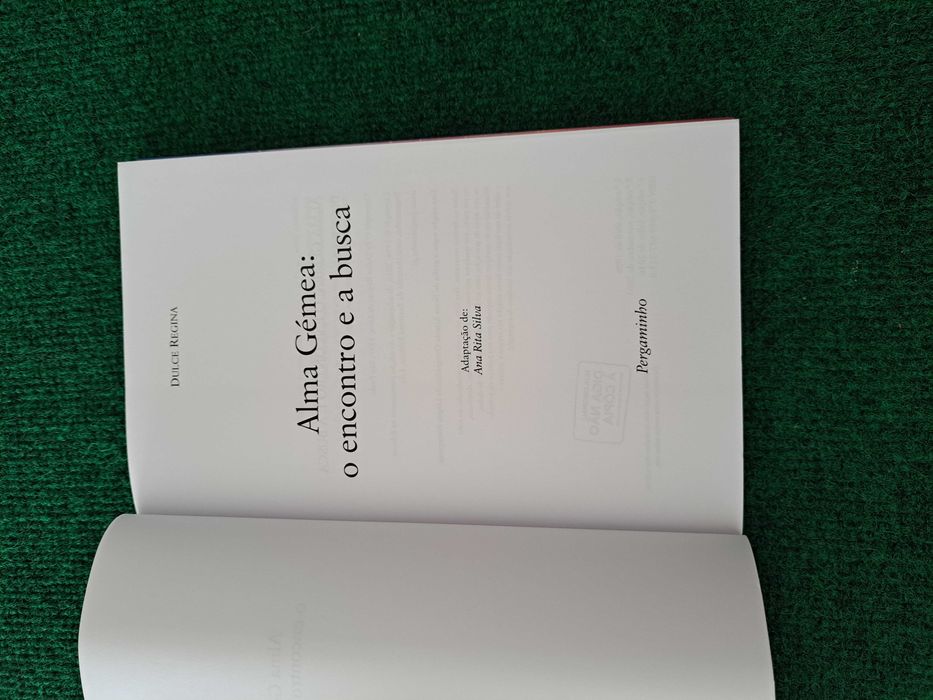 Alma Gémea - The Encounter and the Search - Dulce Regina64585827860097123