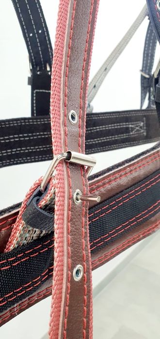 Шлея шорка Шора Европейского образца англичанка немка