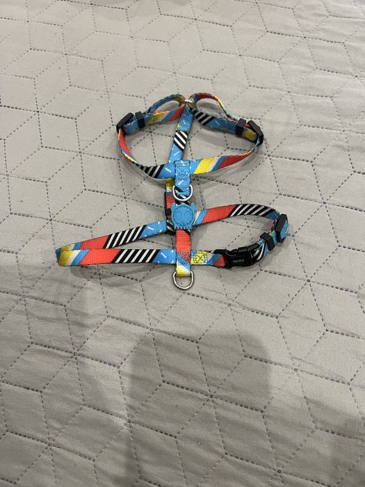 Шлея Zeedog розмір XS ami play pesic co pets fashion