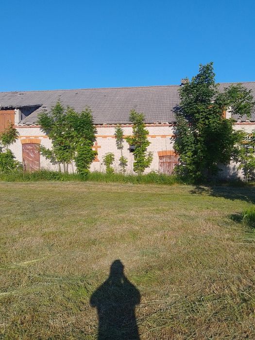 Siedlisko we wsi Krasówka