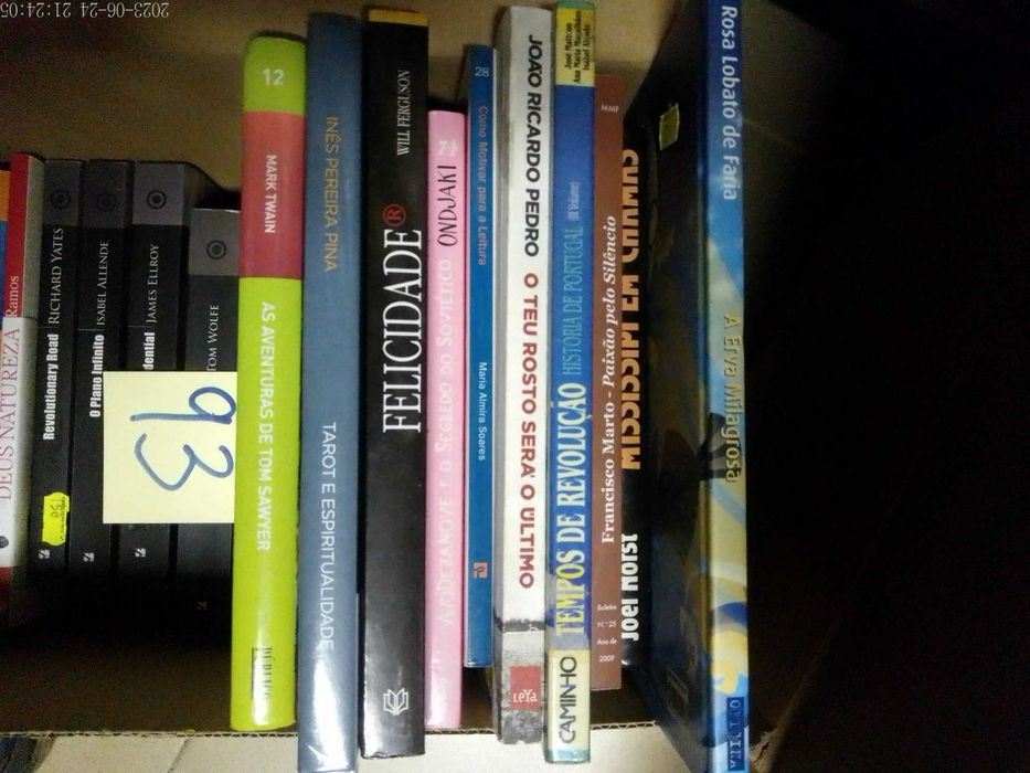 LIVROS Diversos  VENDIDOS EM SEPARADO Vários Preços LOTES 90 + 92 + 93