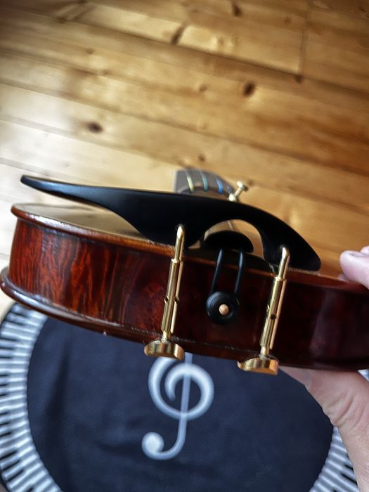 Скрипка пташине око