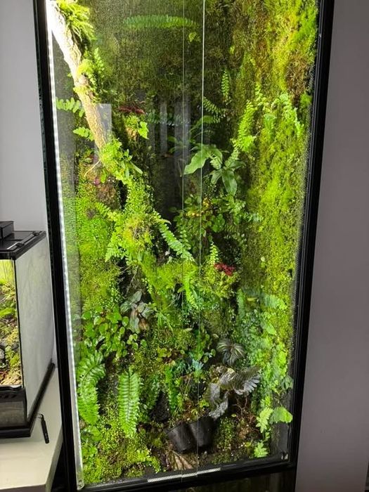Paludarium terrarium 150x50x50