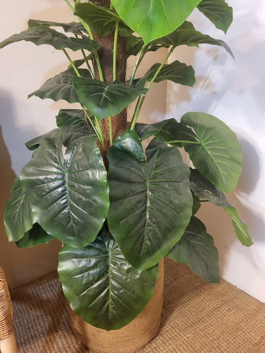 planta artificial, grande, decoração