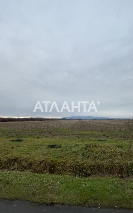 Ділянка в с розівка