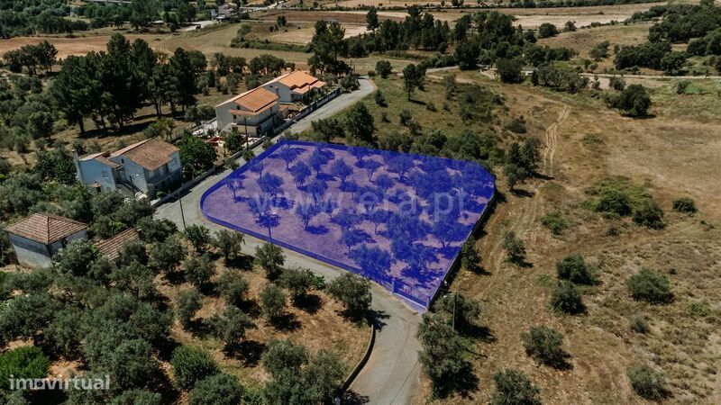 Lote / Covilhã, Dominguiso