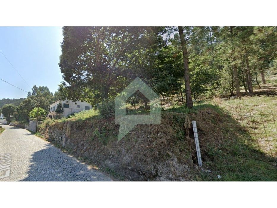 Terreno de pinhal em Carvalhal Barcelos