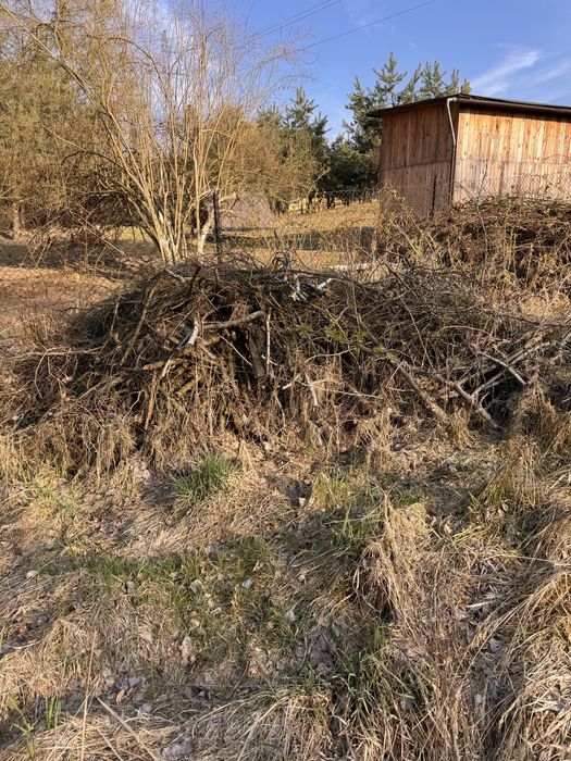 Oddam galezie i drewno!