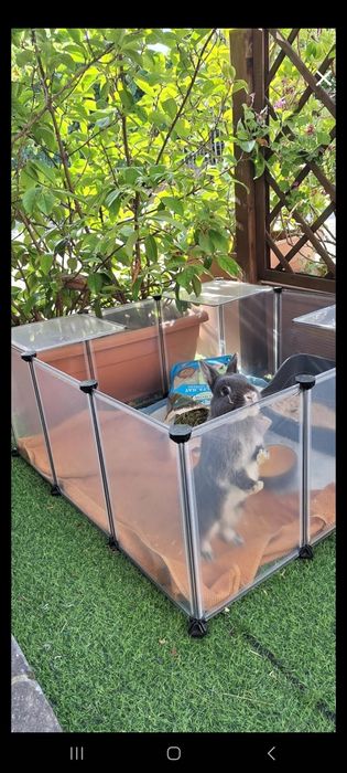 Kojec wybieg klatka dla chomika królika świnki