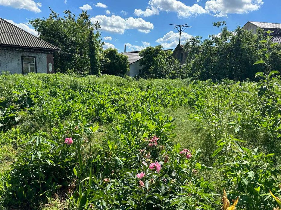 Будинок (район Кустівці)