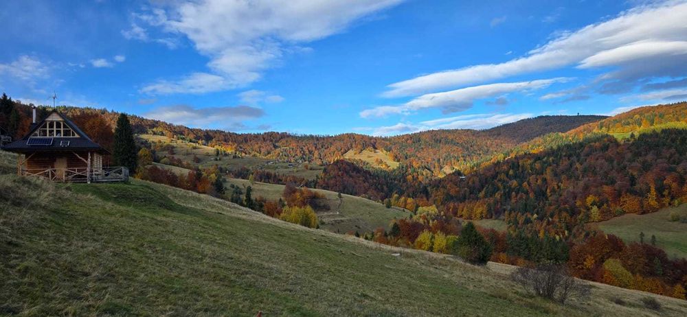 Drewniany domek do wynajęcia