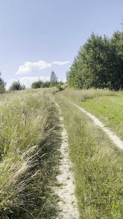 Продам земельну ділянку 25 сотих у с. Вербовець, Косівський р-н