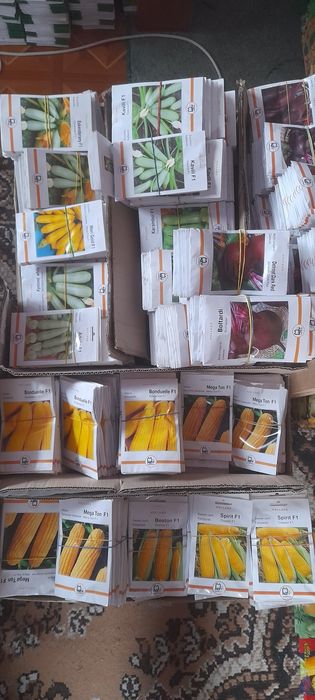 Семена овощей голандское насіння голандське якісне краща ціна