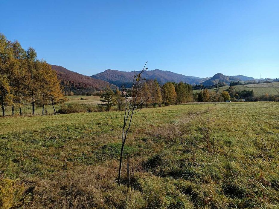Działka budowlana 10a Bieszczady Bukowiec z widokiem