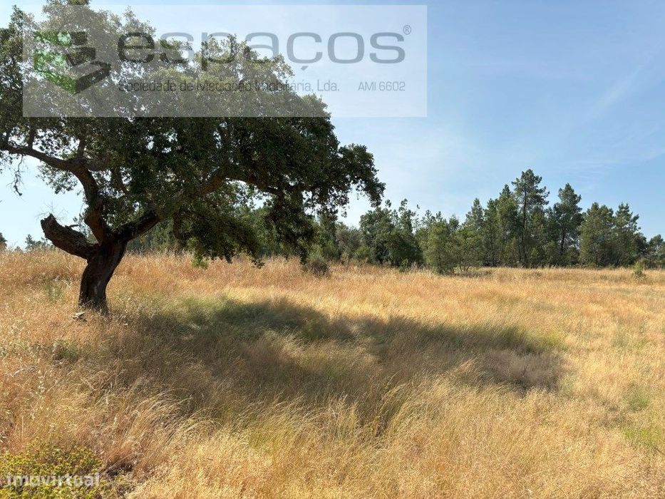 Rustic Land