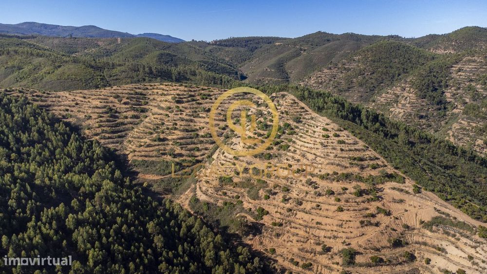 Propriedade de 10 hectares perto da barragem de Odelouca