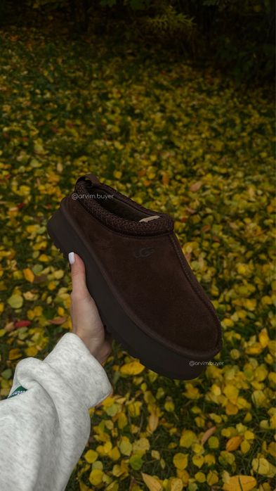 Ugg tazz угг уггі ugg