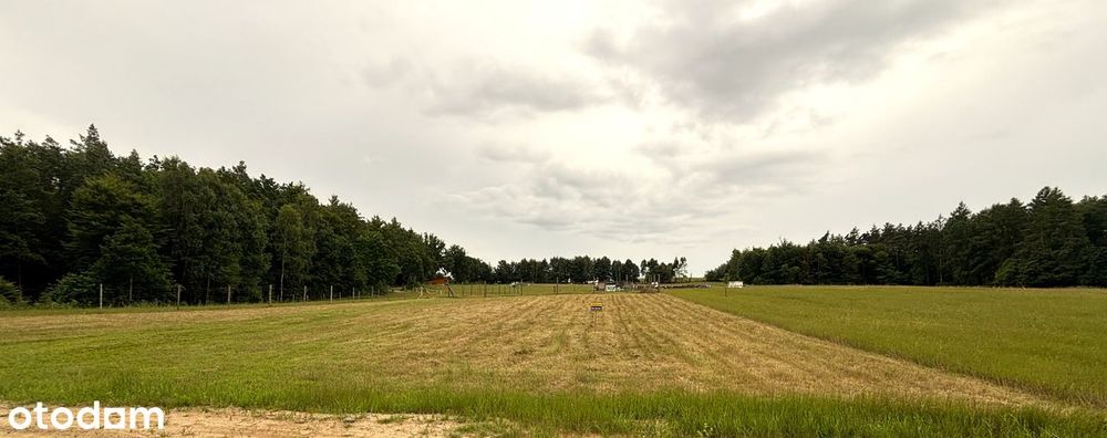 Działka budowlana w lesie. Z Pozwoleniem na Bud. Kaszuby. Jezioro