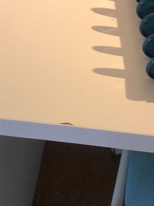 Beliche alto com secretária, roupeiro e estante