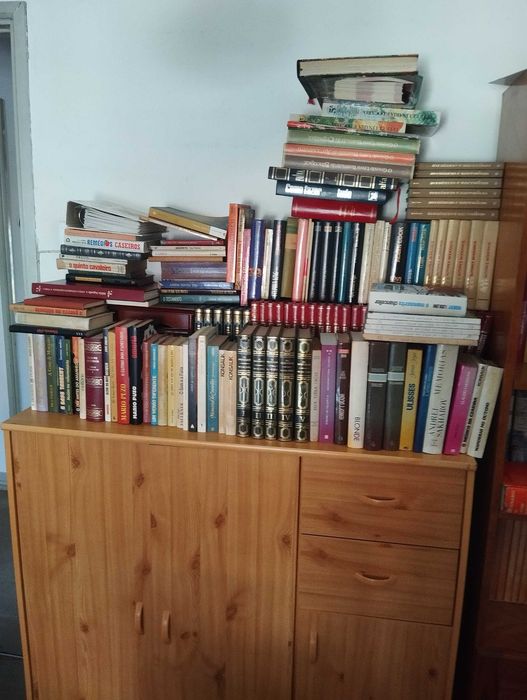 Biblioteca Particular – 420 Livros | Saramago, Eça, Eco, Kundera e Outros | 180€ Negociáveis