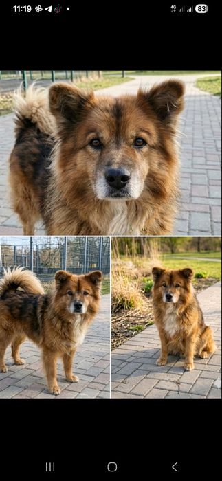 Безкоштовно,в добрі руки хлопчик середнього росту 7-8років.привезу.