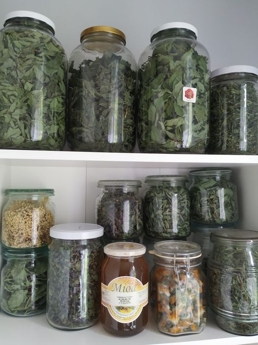 Miód naturalny wiosenny spadziowy