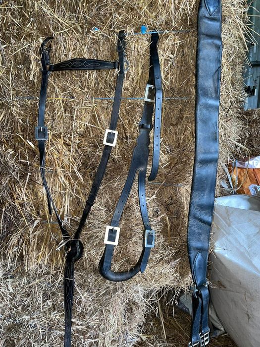 Sela/ arreio a portuguesa completa com cabeçada e xairel