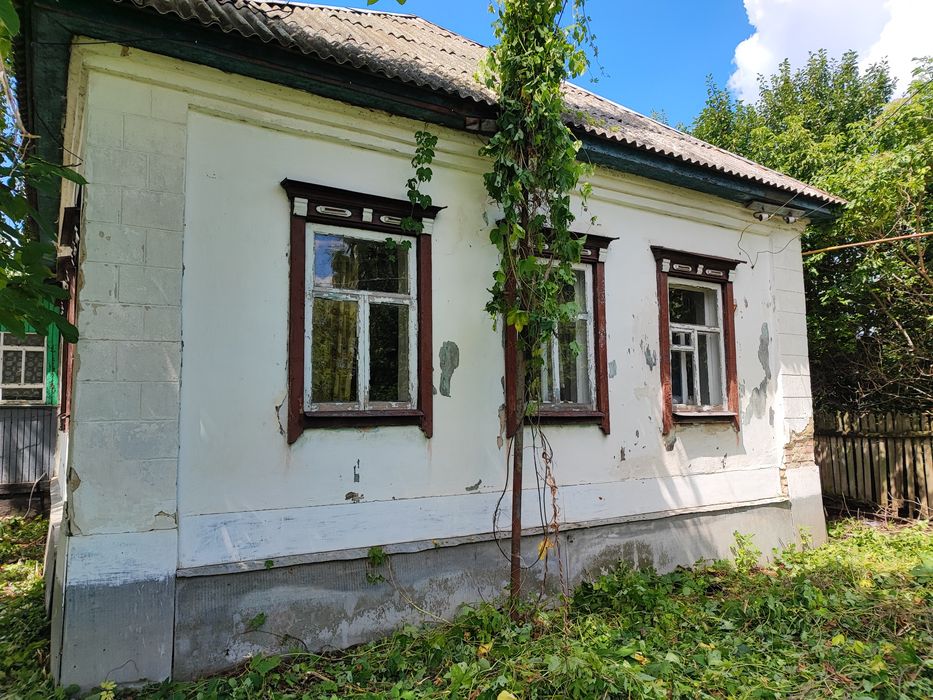Продаж будинків у с. Підлипне