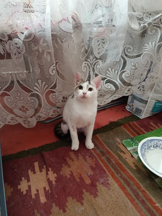 Марта шукає родину