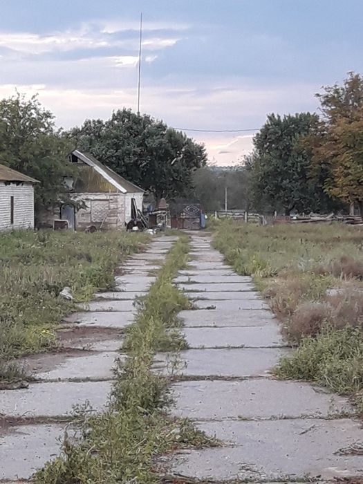 Комплекс ферм 2022