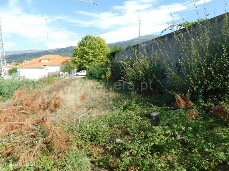 Lote / Seia, Santa Marinha e São Martinho