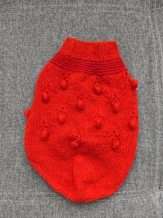 Одяг для собак, одежда для собак