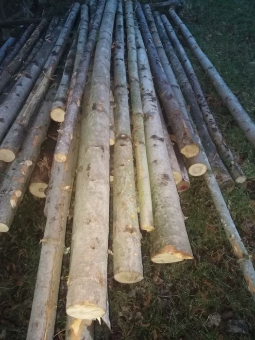 Stemple budowlane jodłowe 2.7- 3.0 metry 5zł za sztukę. Dowóz do 10 km
