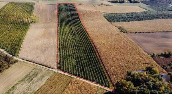 Sprzedam sad 2,47 ha Wilczyce
