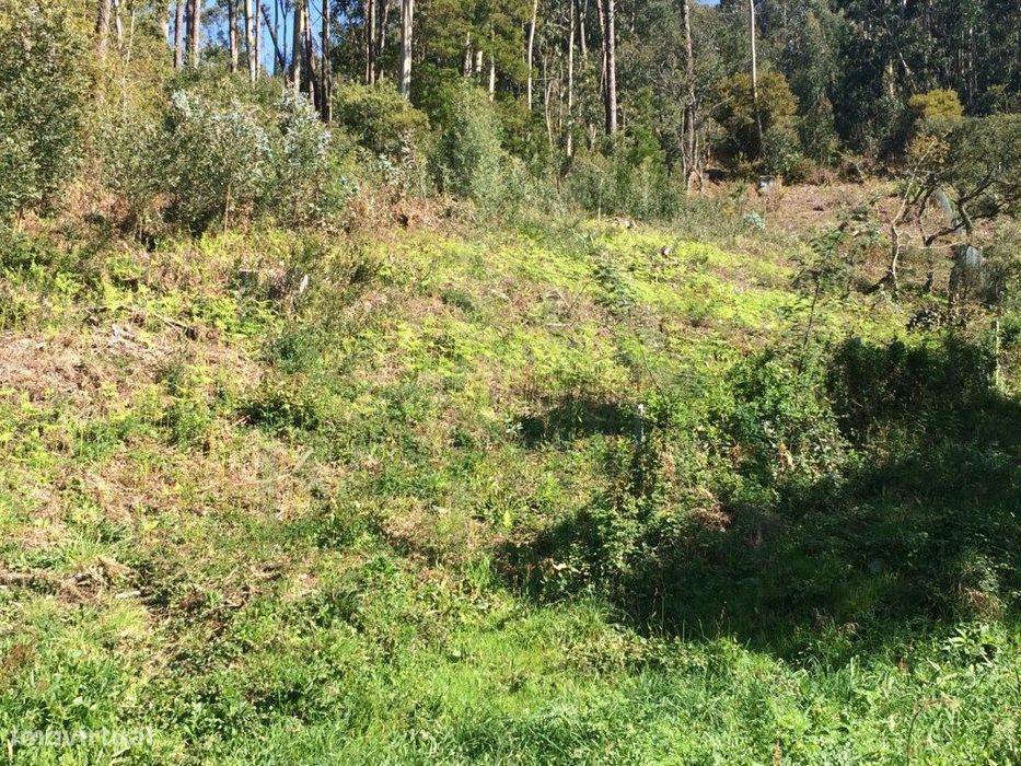 Terreno para construção