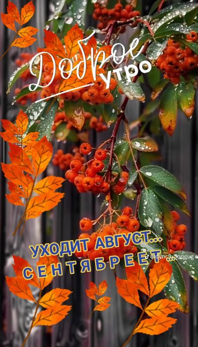 детский Лего на кг.