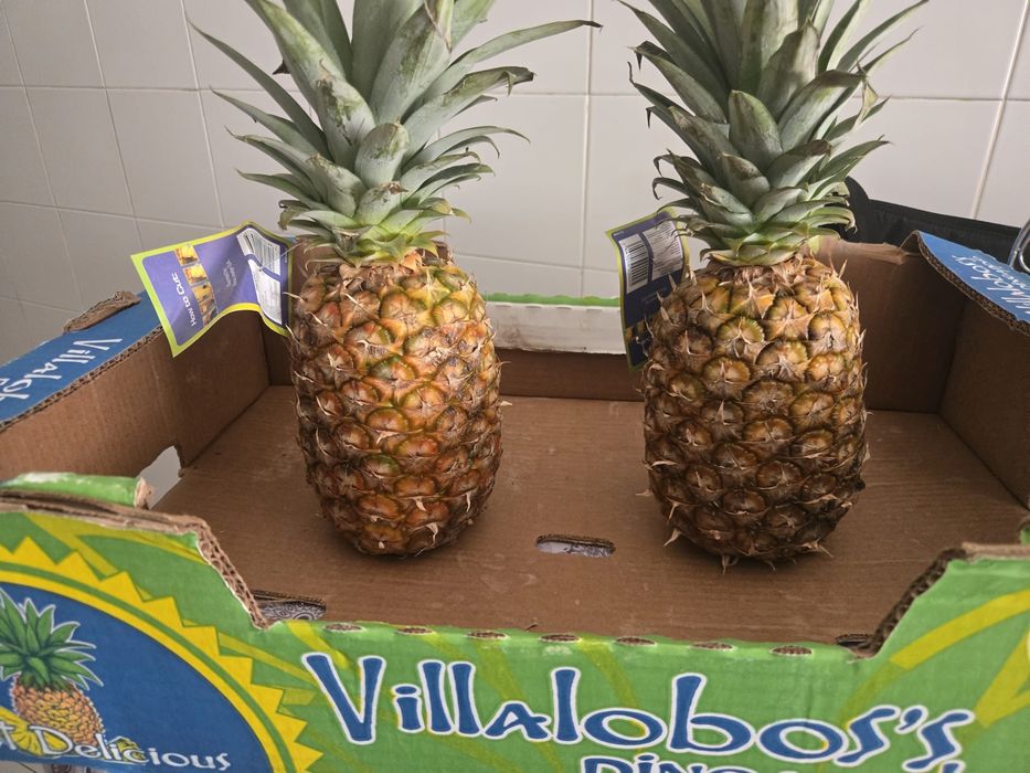 Fruta fresca (entregamos na zona de Lisboa)
