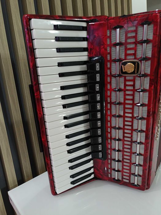 Akordeon Weltmeister Serino