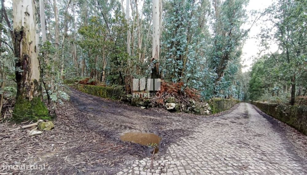 Venda de Terreno florestal, Ferreiró, Vila do Conde