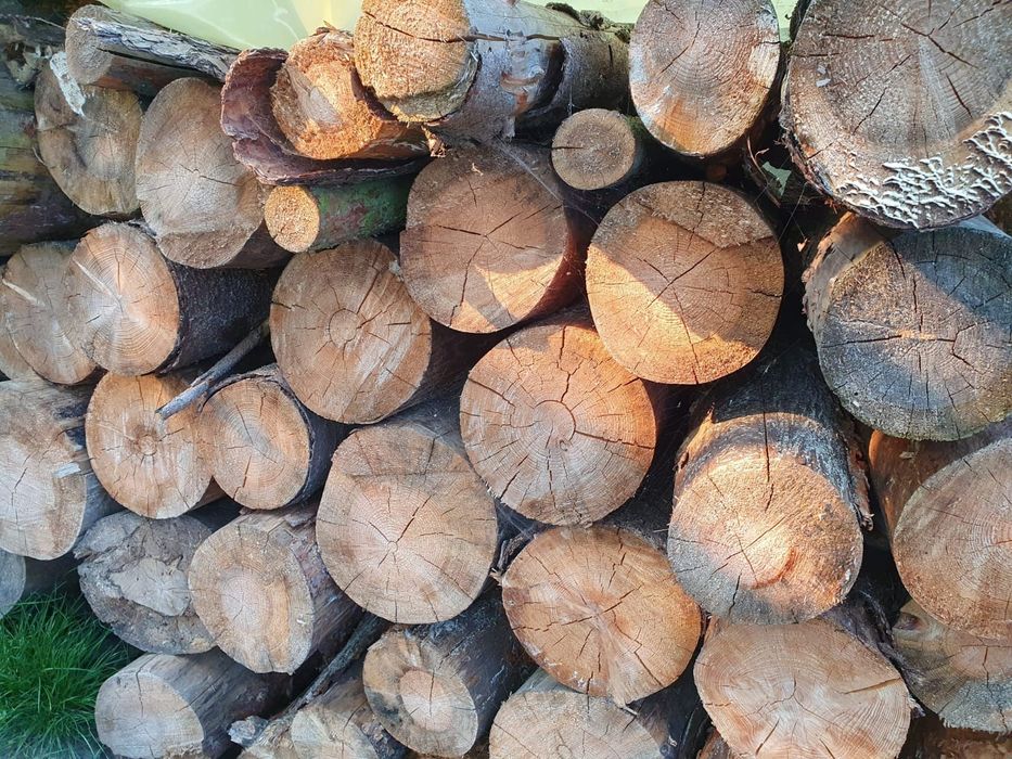 Drewno opałowe suche