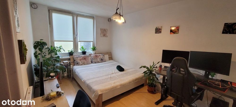 2-pokojowe mieszkanie – Zabrze, os. Janek