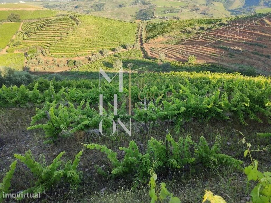 Encantadora Quinta com cerca de 3 Hectares de Tradição e Beleza Natura