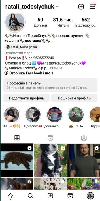 Бенгал в'язка, клубний wcf