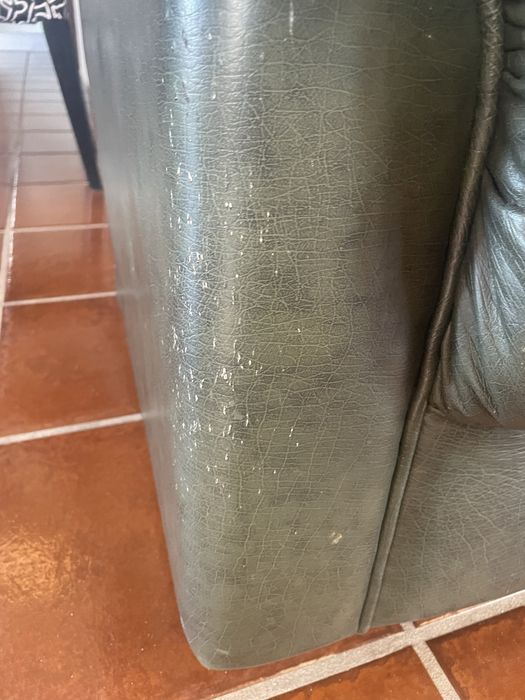 Sofas (terno) em pele verdadeira verde